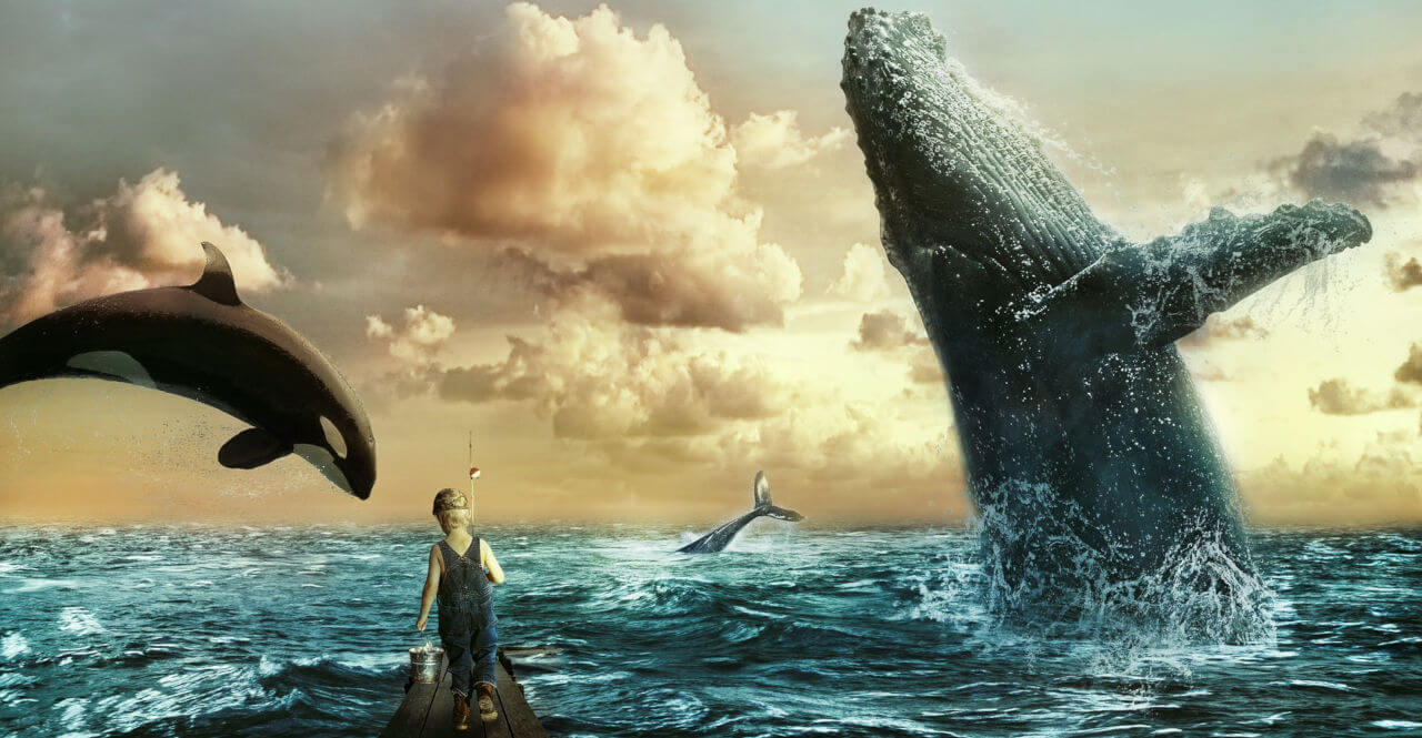 Scenka z wielorybami